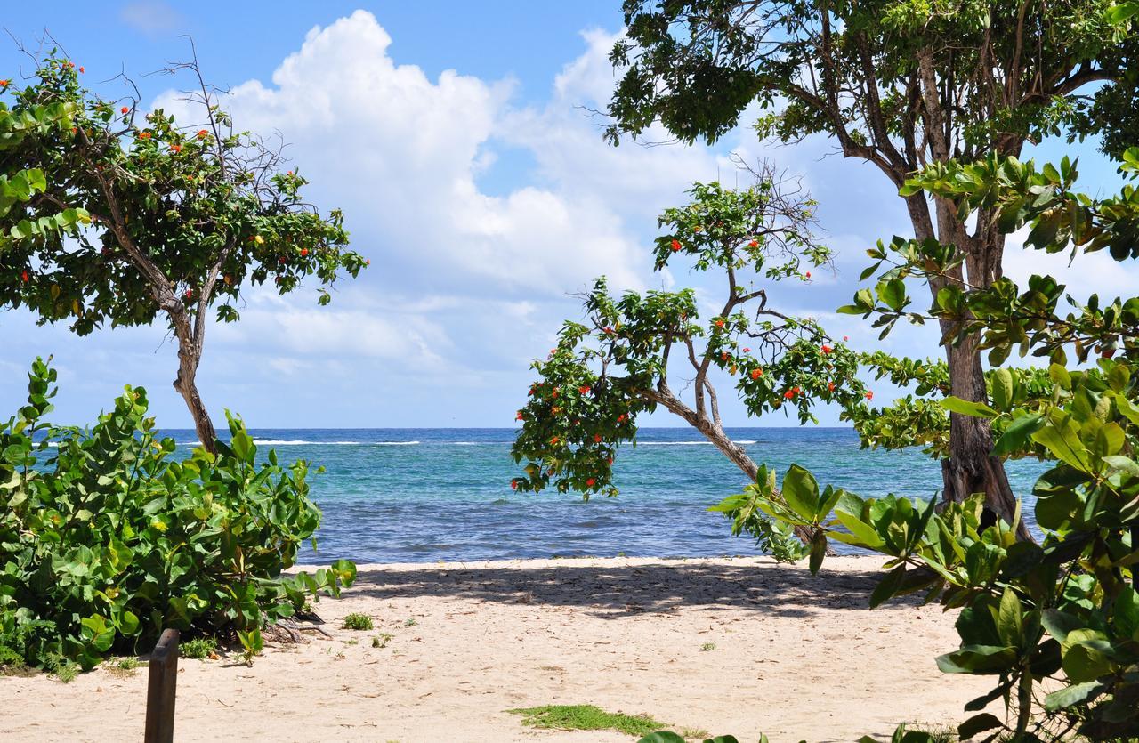 Résidence Tropicale 3*