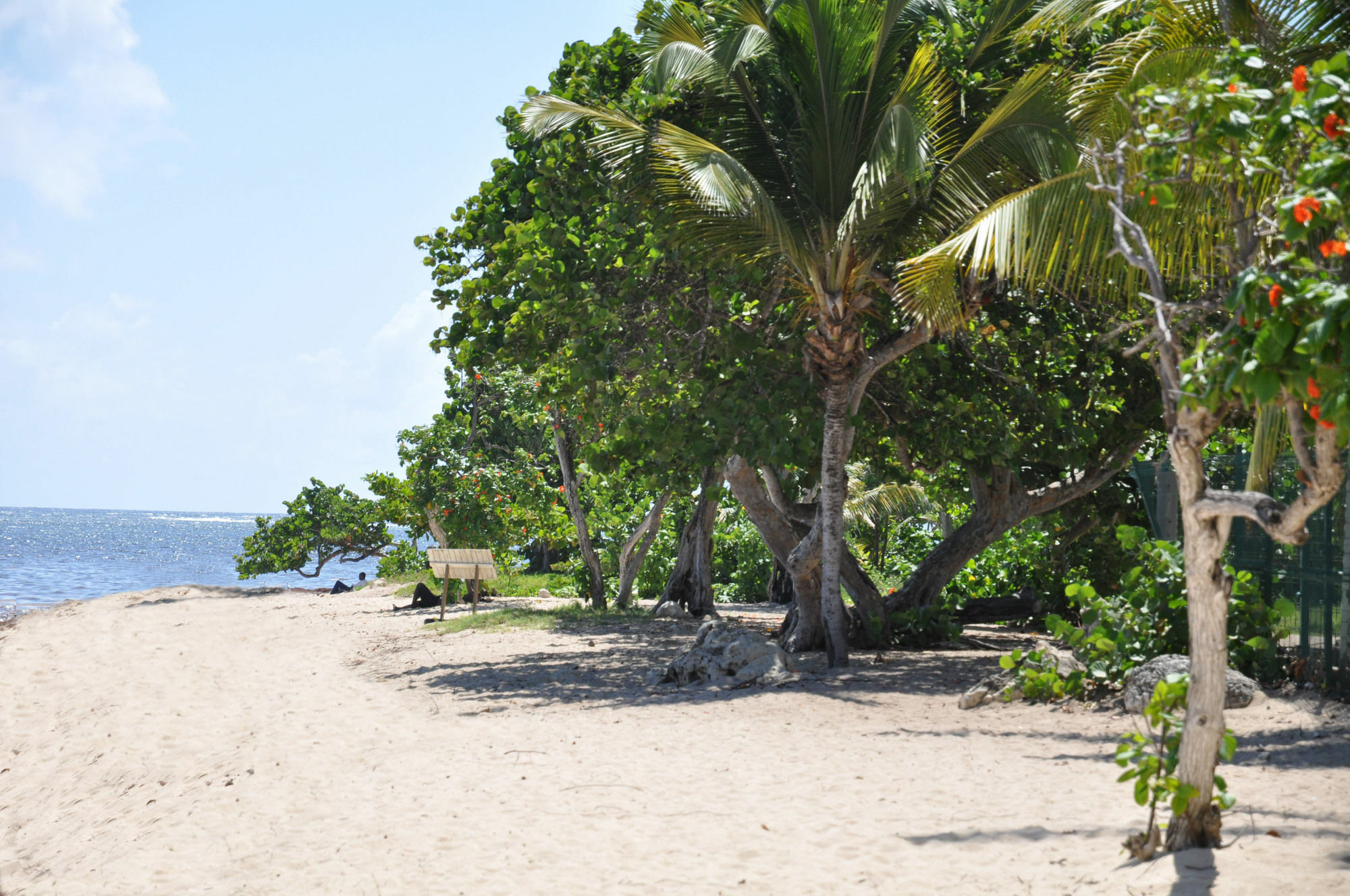 Résidence Tropicale
